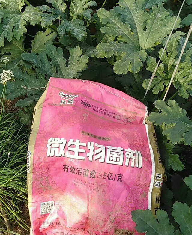 聚酶膨果鉀種植戶反饋