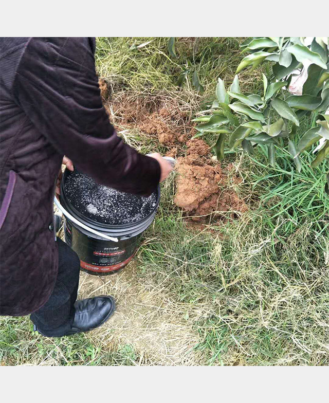 微生物菌劑種植反饋