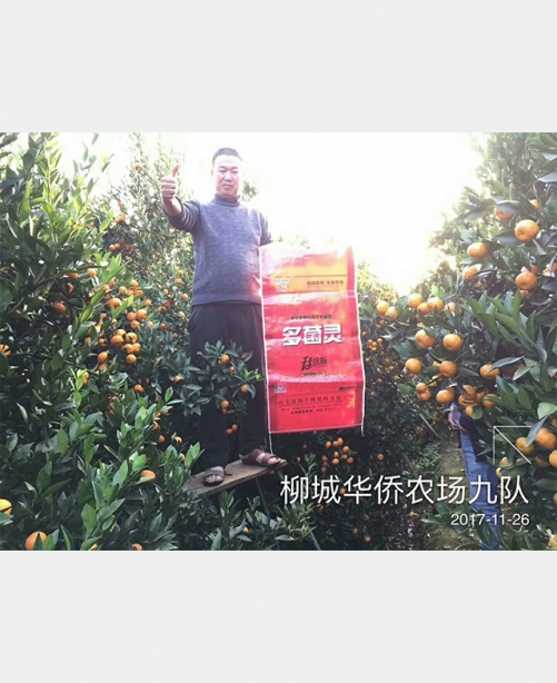 多菌靈種植戶反饋