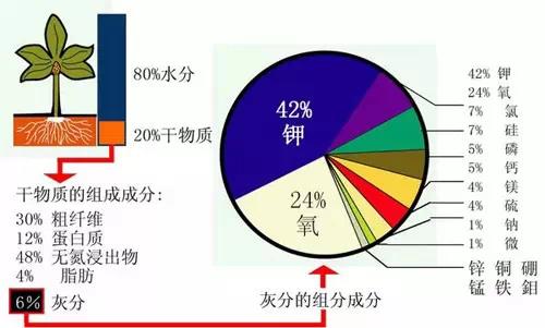 菌肥 生物菌肥 微生物菌肥