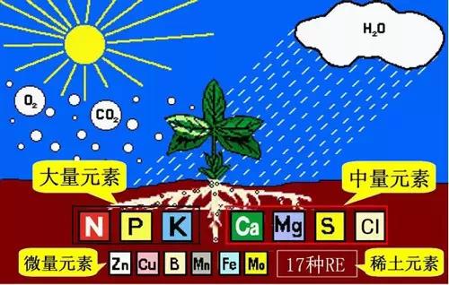 菌肥 生物菌肥 微生物菌肥