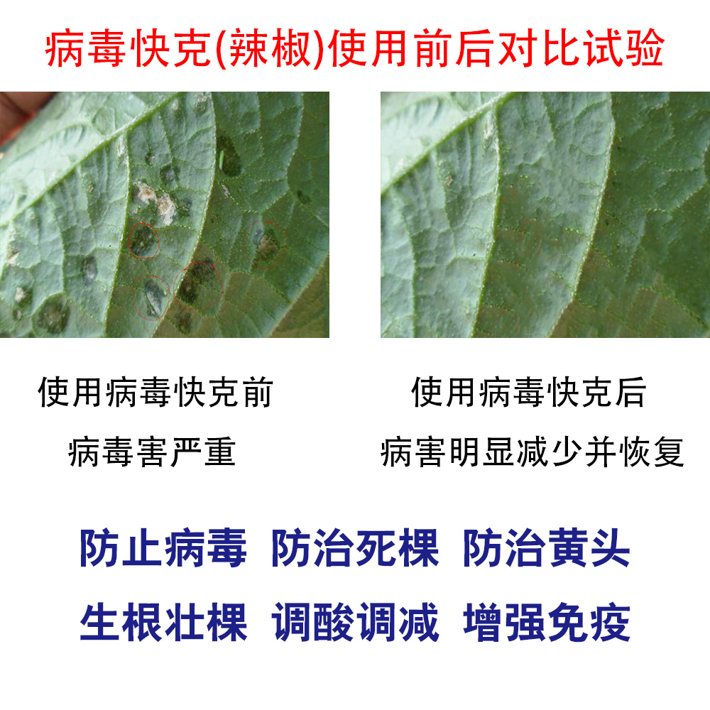 微生物有機(jī)菌肥 復(fù)合微生物菌劑 復(fù)合微生物菌肥