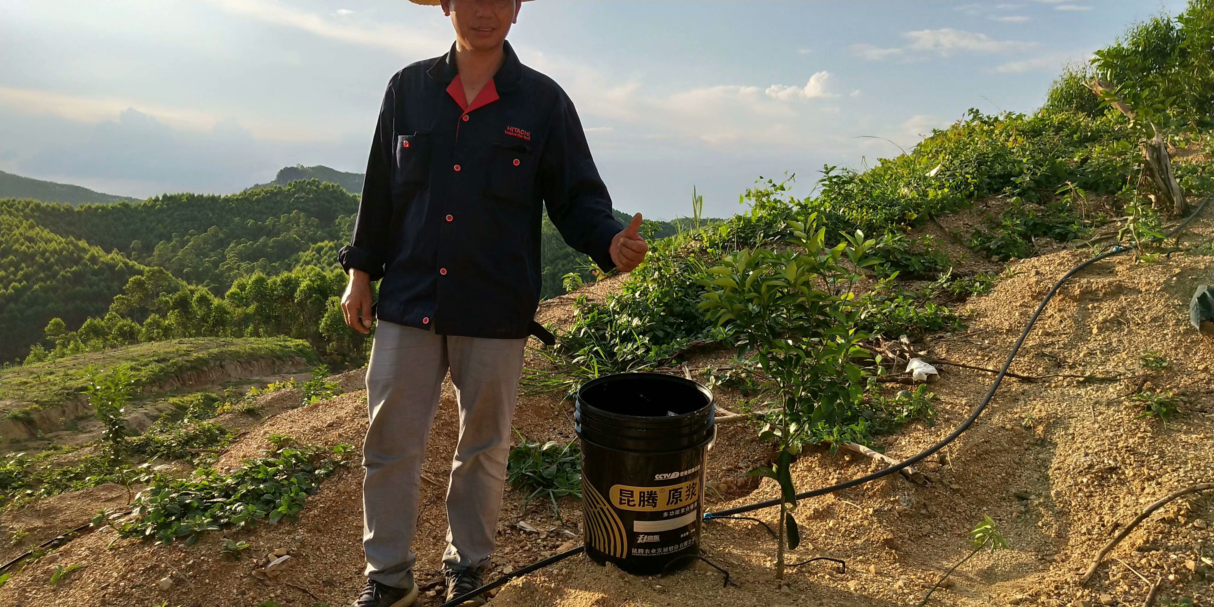 菌肥 微生物菌肥 微生物菌劑液體生物有機肥桶肥