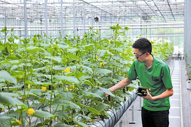 菌肥 微生物菌肥 微生物菌劑液體生物有機(jī)肥