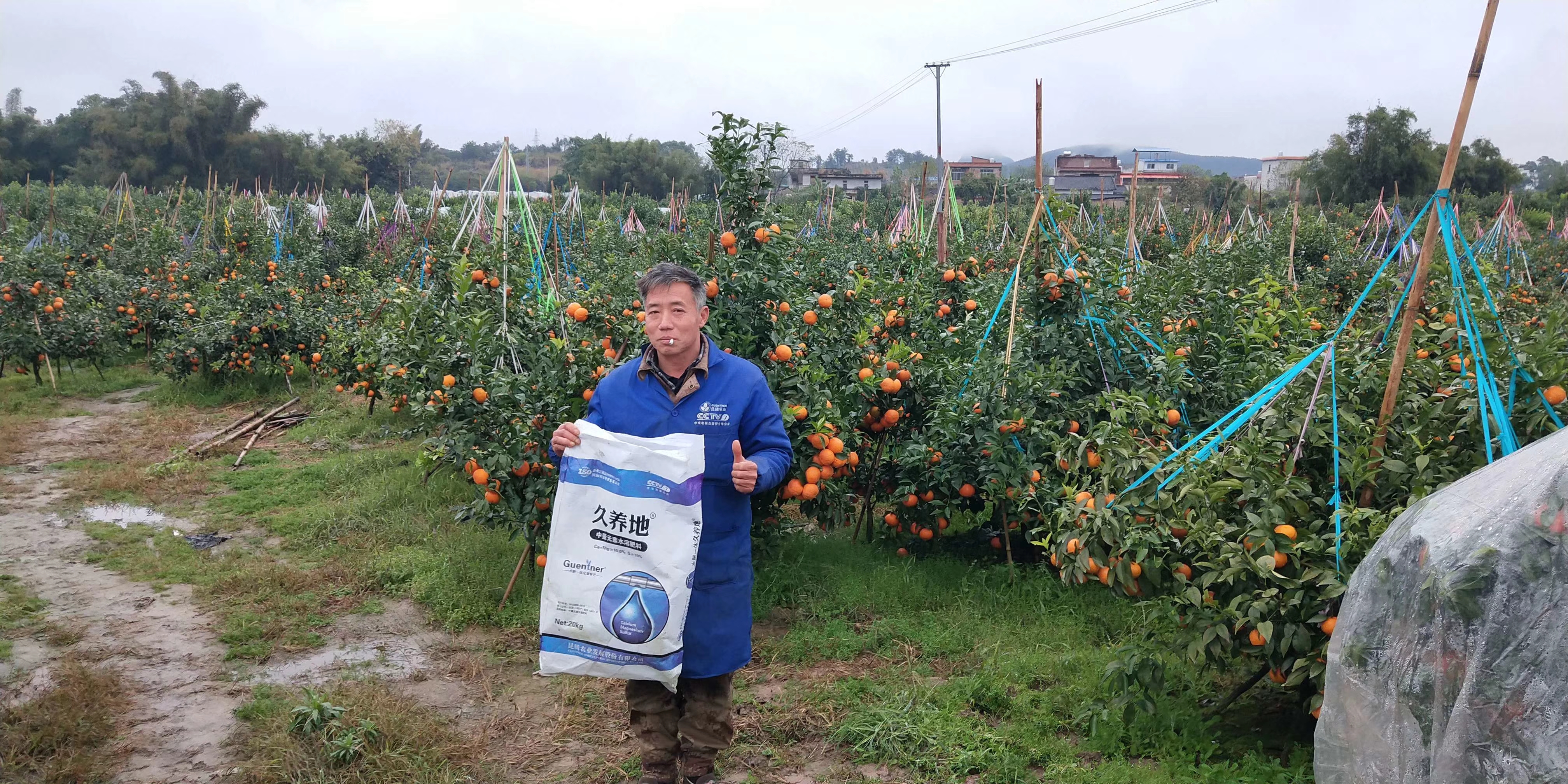 水溶肥 沖施肥 大量元素水溶肥