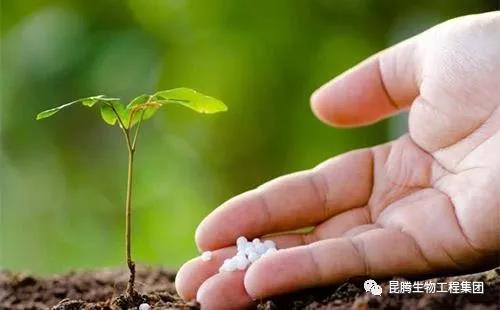 菌肥 生物菌肥 微生物菌肥