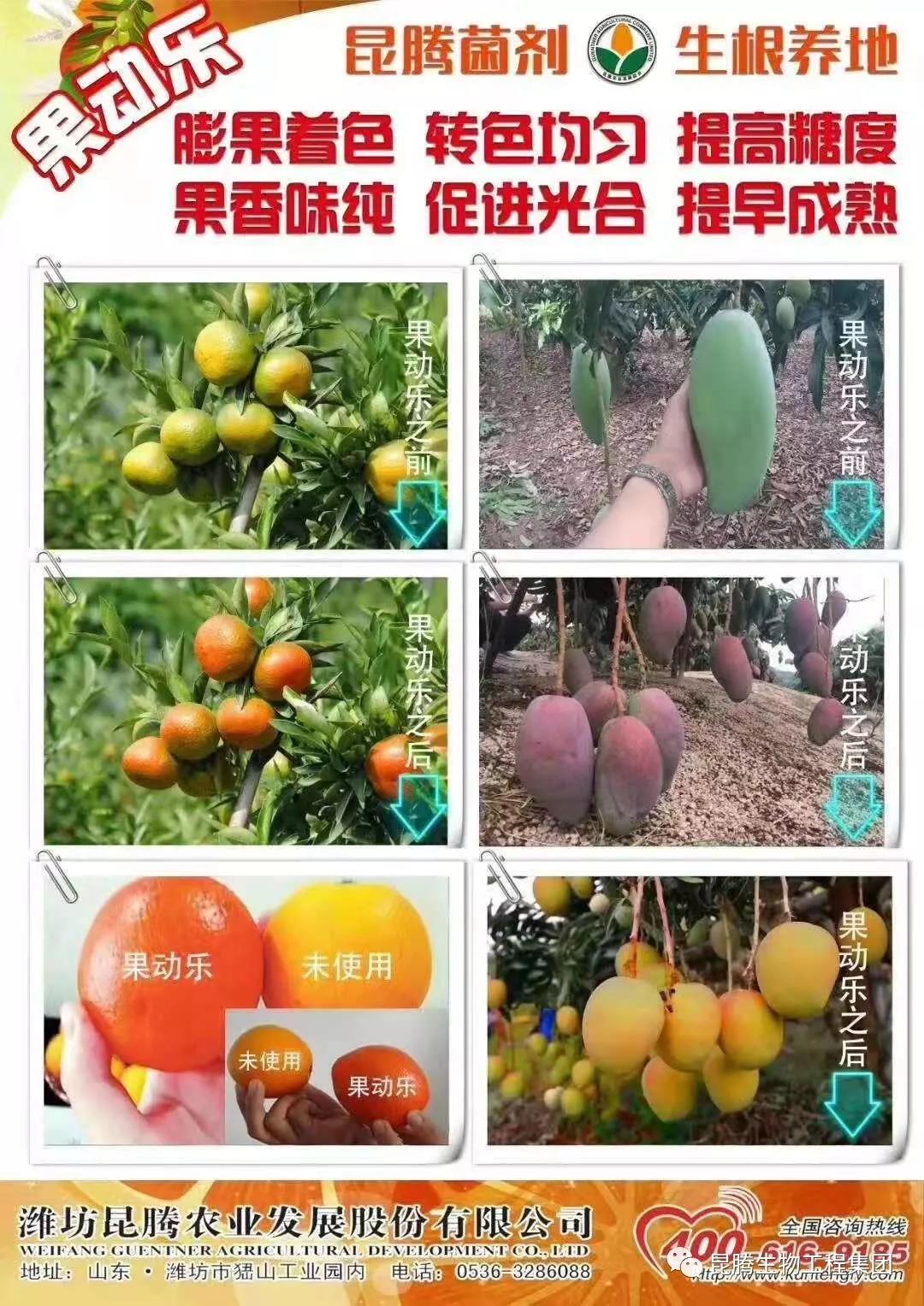 復(fù)合微生物菌劑功能性液體肥料專治線蟲提質(zhì)增產(chǎn)