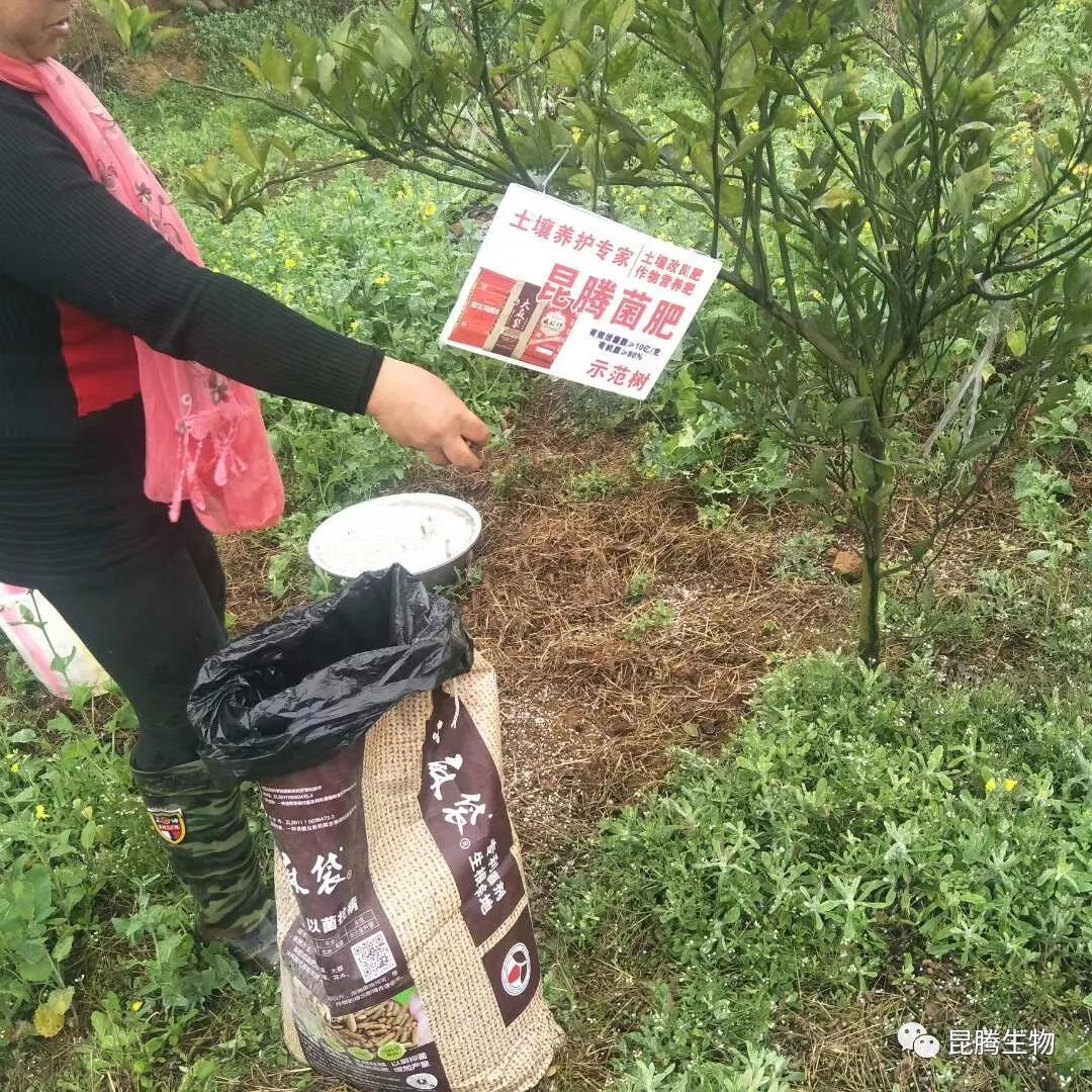 復合微生物菌劑廠家直銷