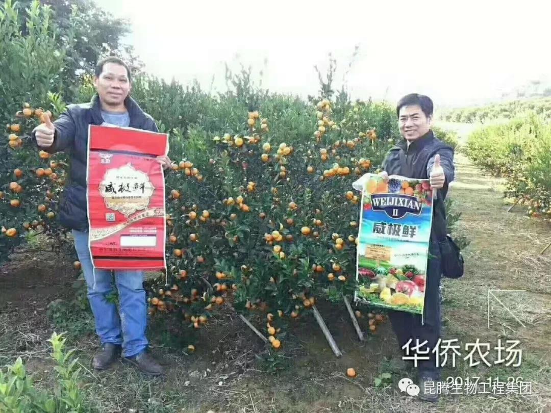 復合微生物菌劑復合微生物菌肥復合微生物有機菌肥廠家直銷