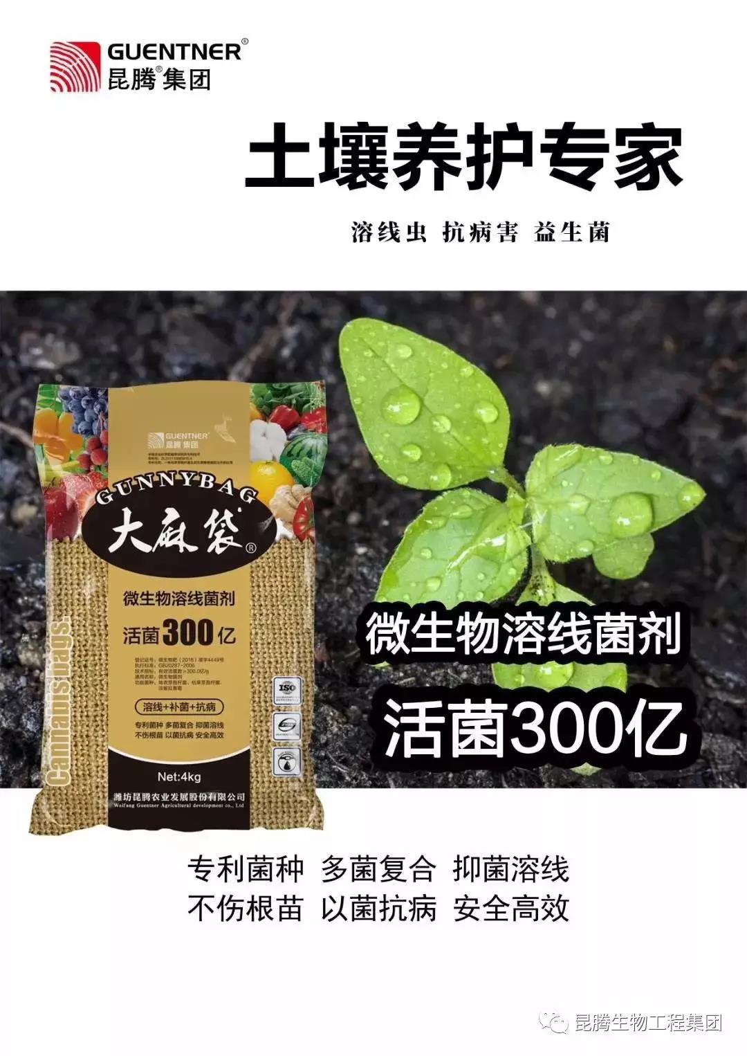 復合微生物菌肥廠家直銷